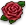 Valentinsblumen
